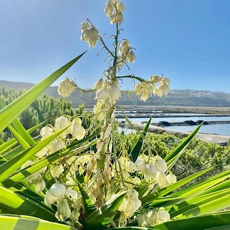 Herdade D' Amoreira Lavanda Semesterbostad