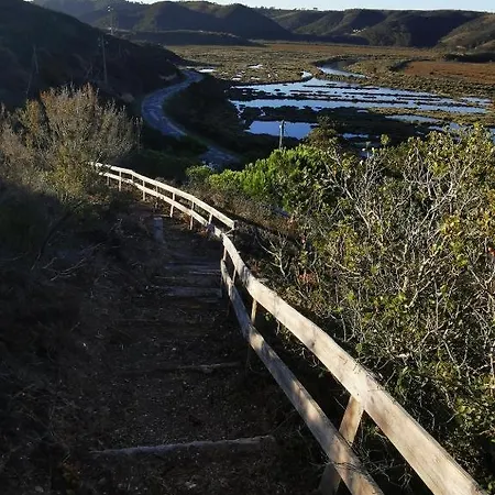 Herdade D' Amoreira Lavanda