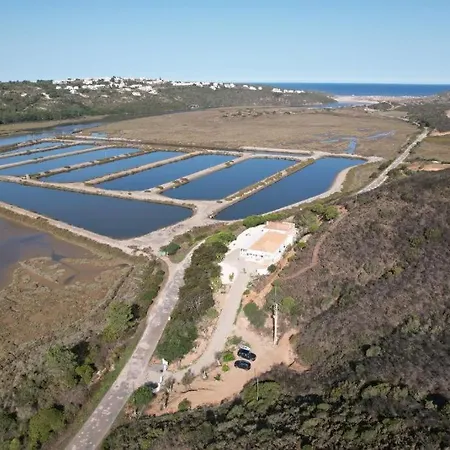 Herdade D' Amoreira Lavanda אלג'זור