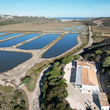 Herdade D' Amoreira Lavanda