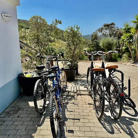 Vakantiehuis Herdade D' Amoreira Lavanda