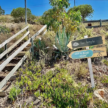Herdade D' Amoreira Lavanda * אלג'זור