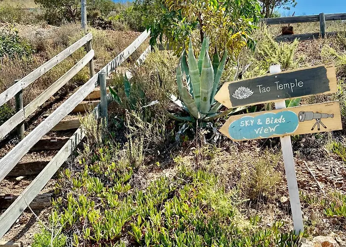Herdade D' Amoreira Lavanda * Aljezur