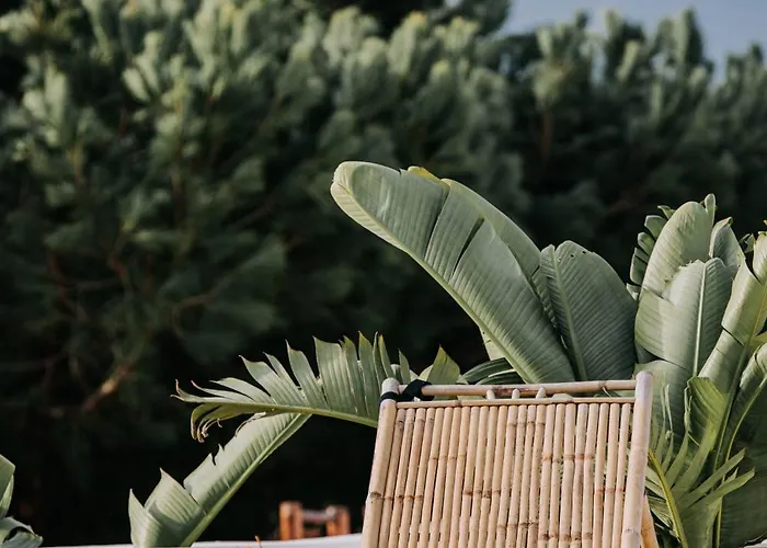 Herdade D' Amoreira Lavanda Hébergement de vacances Aljezur