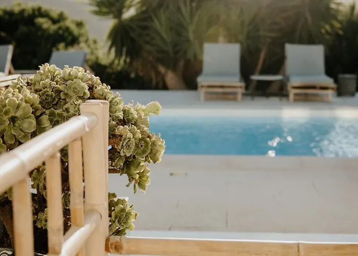 Hébergement de vacances Herdade D' Amoreira Lavanda