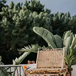 Herdade D' Amoreira Lavanda Vakantiehuis Aljezur
