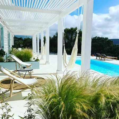 Herdade D' Amoreira Lavanda * 阿尔热祖尔