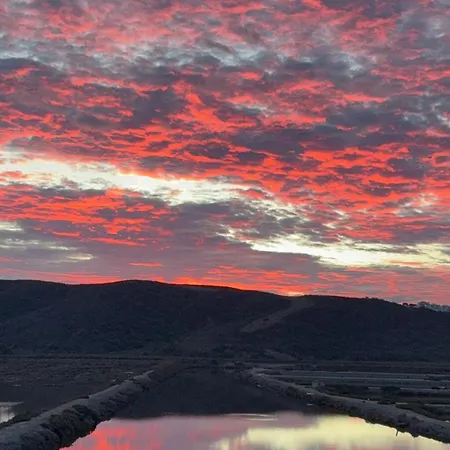 Herdade D' Amoreira Lavanda * 阿尔热祖尔