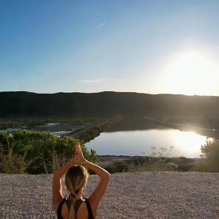 Herdade D' Amoreira Lavanda * 阿尔热祖尔