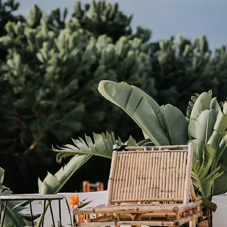 Herdade D' Amoreira Lavanda Casa vacanze Aljezur