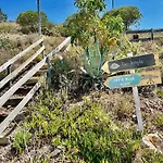 Herdade D' Amoreira Lavanda * Aljezur